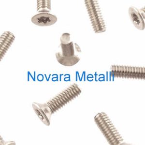 Viti Torx Testa Piana Svasata Inox A2