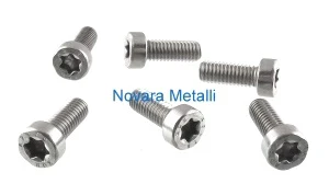 Viti Torx Testa Cilindrica Bassa Inox A2